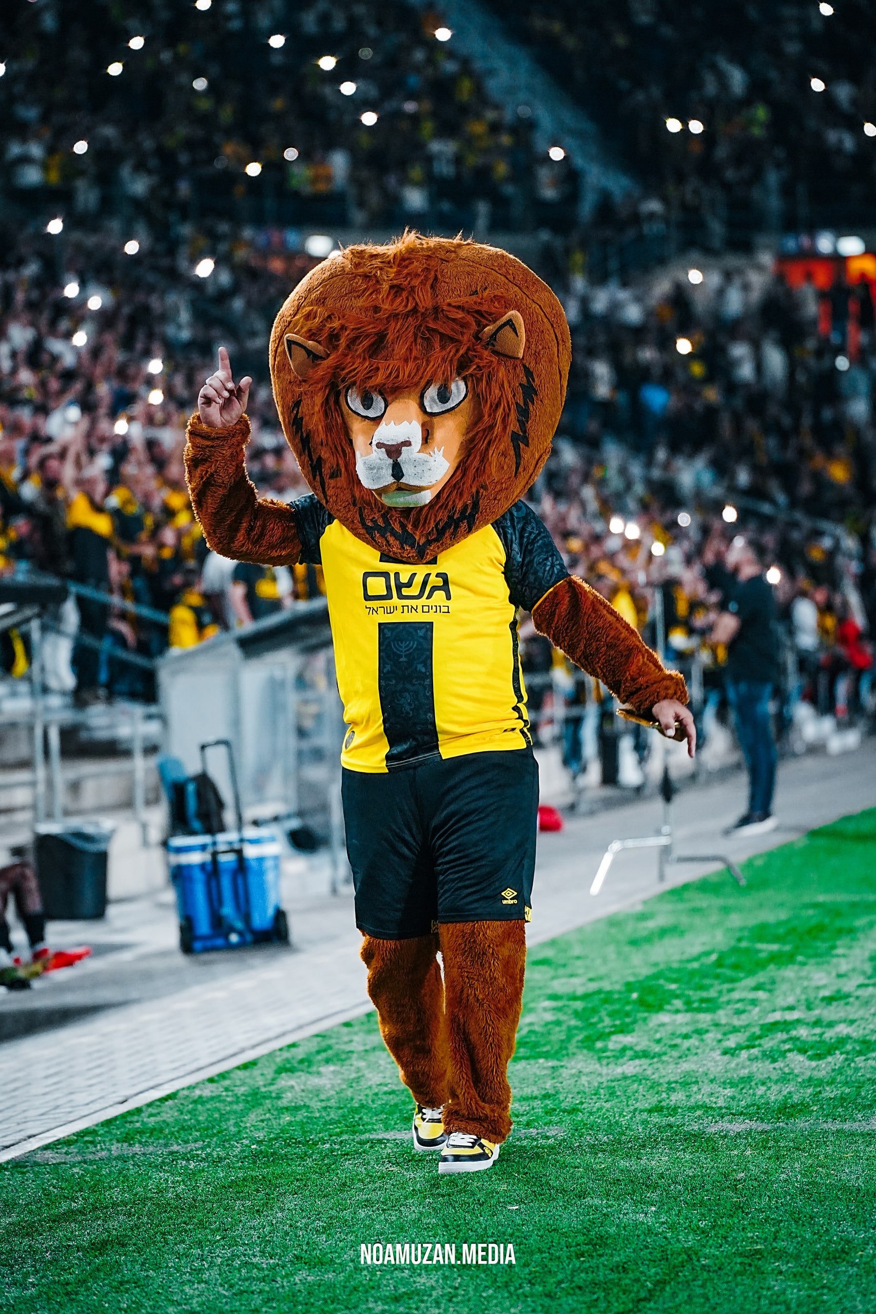 Beitar Jerusalem — player portrait